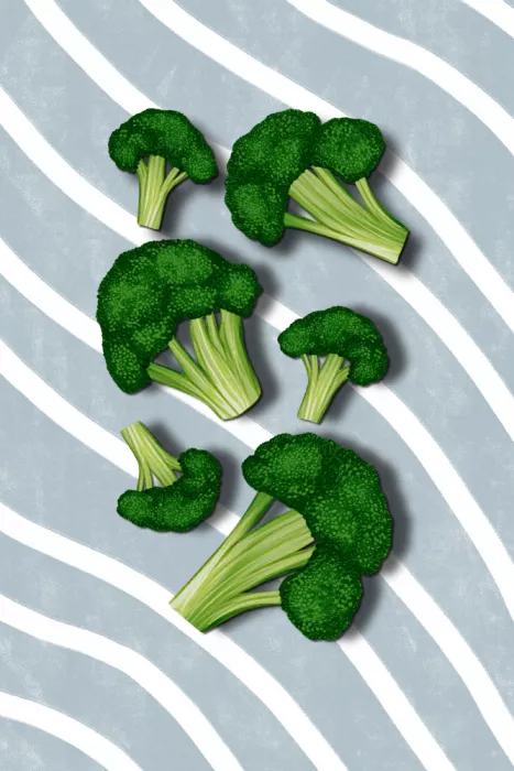 EMELIEmaria: Broccoli