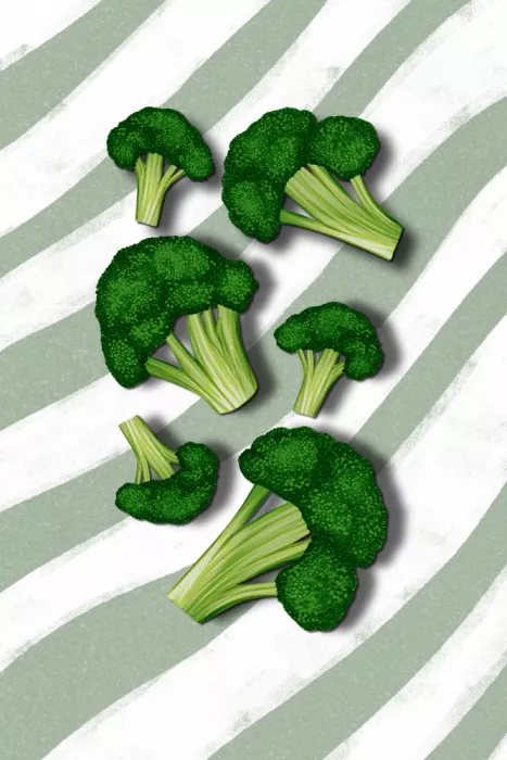EMELIEmaria: Broccoli