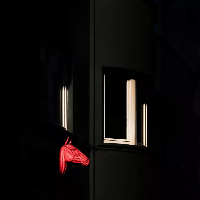 Endermann, Rolf: Cavallo rosso