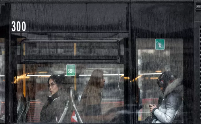 Melis, Maria Alberto: Windows on the rain 110