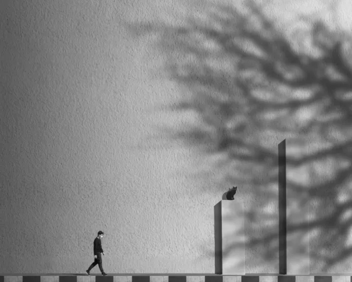 Alizolghadri93: Shadows