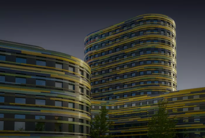 Eßig, Michael: BSW Hamburg