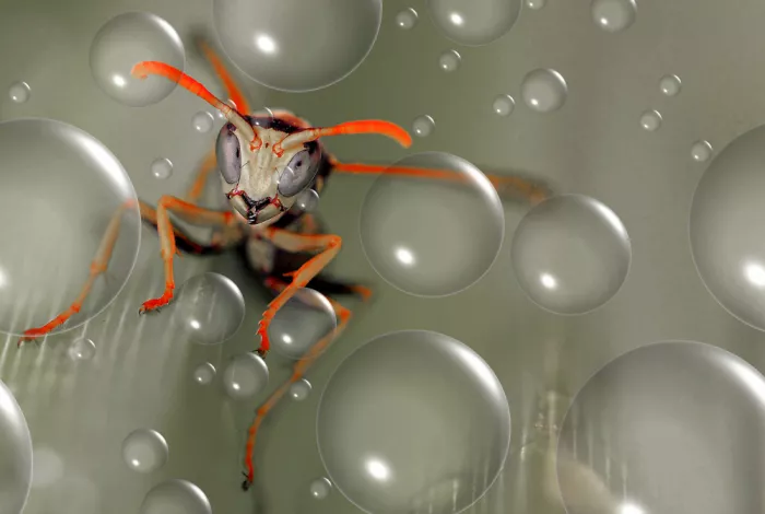 Dufour, Thierry: Am Halloween-Tag...