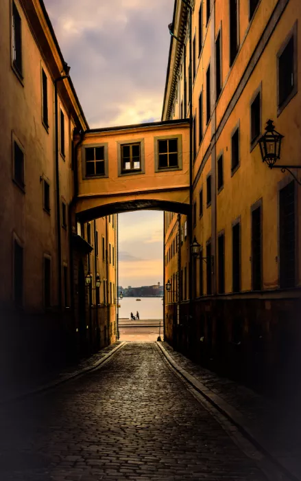 Kleimann, Stephanie: early morning