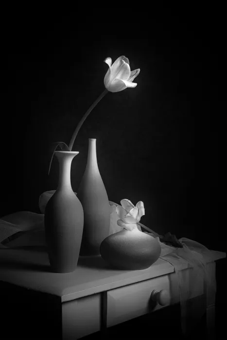 Jacobs, Lydia: Two Tulips