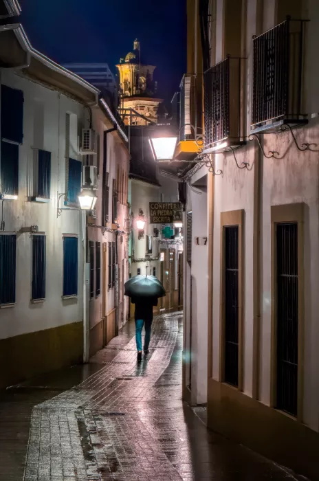 Seco, Luis Juan: Pluie du petit matin...