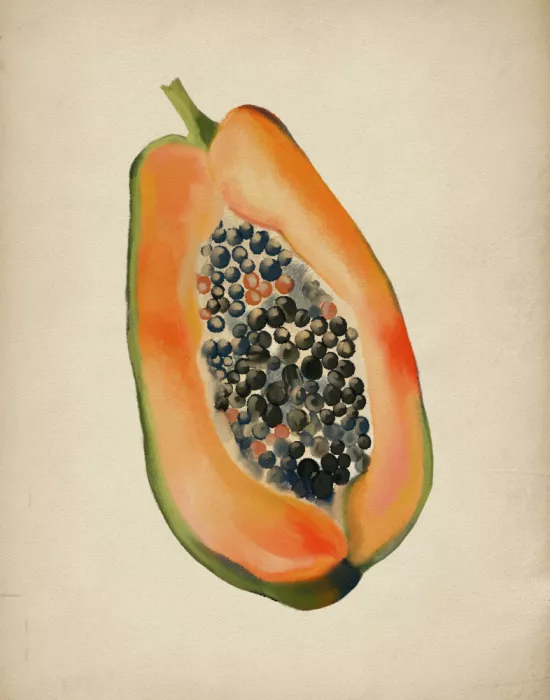 George, Josie: Vintage fruit- Papaya