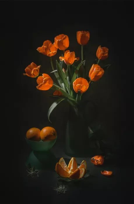 Jacobs, Lydia: Orange and Tulips
