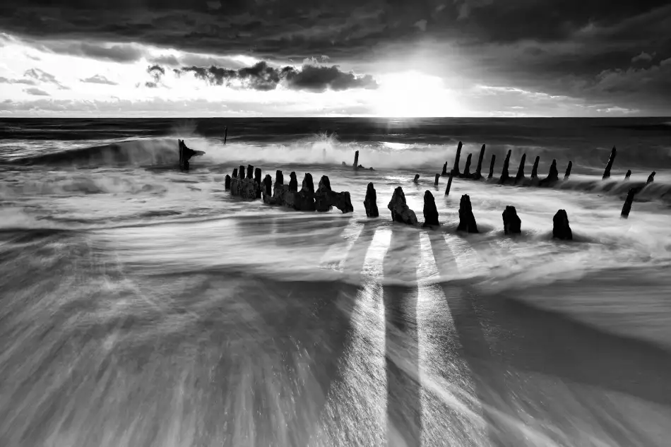Brackstone, Mel: Sunlight