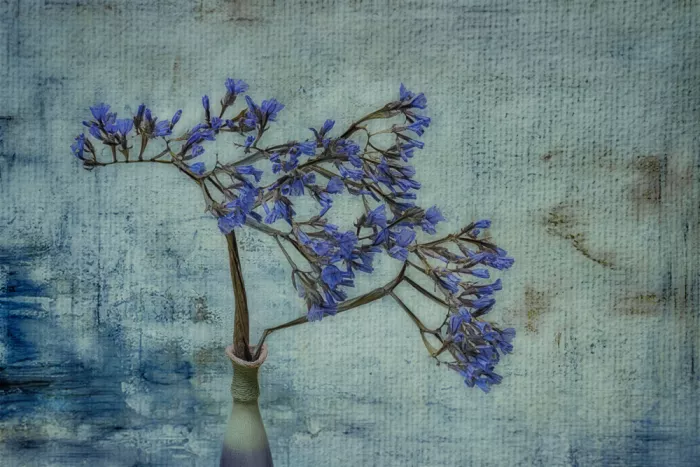 Stas, Marie-anne: Blue