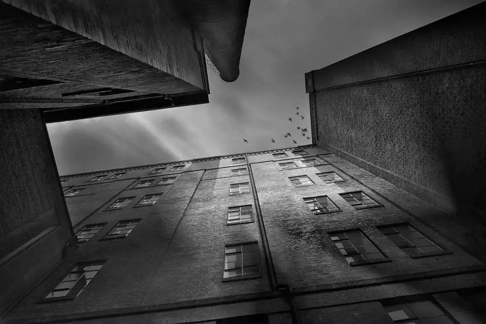 Droste, Holger: City of Shadow