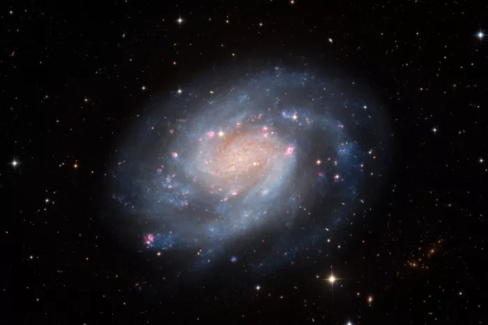 Chander, Vikas: A Pinwheel Galaxy