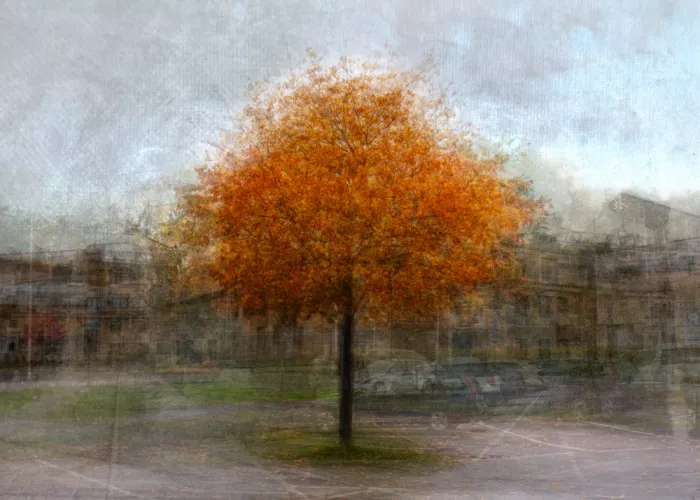 Holmström, Katarina: Autumn glory