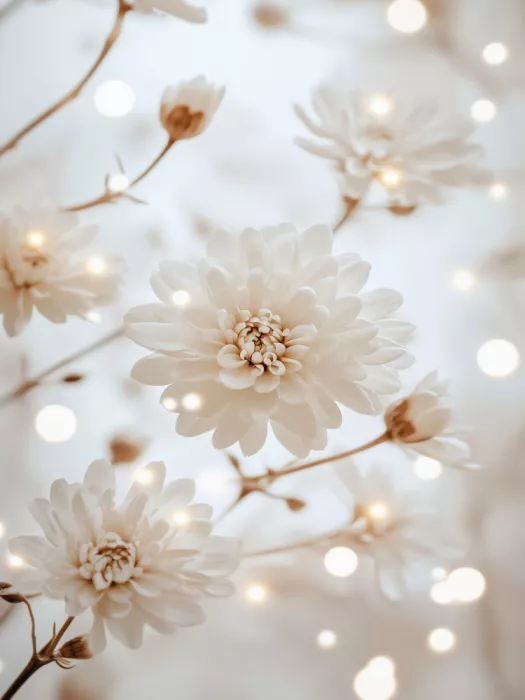 Treechild: Fleurs éthérées