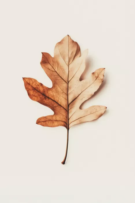 Treechild: Sussurro autunnale
