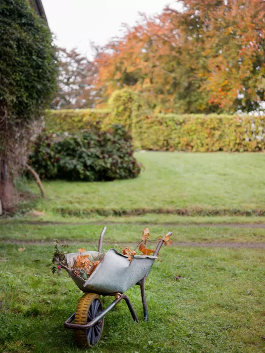 Zwart, Raisa: Autumn Wheelbarrow | Rustic Fall Garden Scene