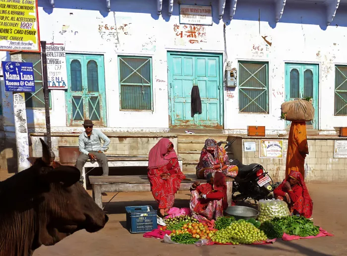Pizzocaro, Giorgio: Small Market in Pushkar