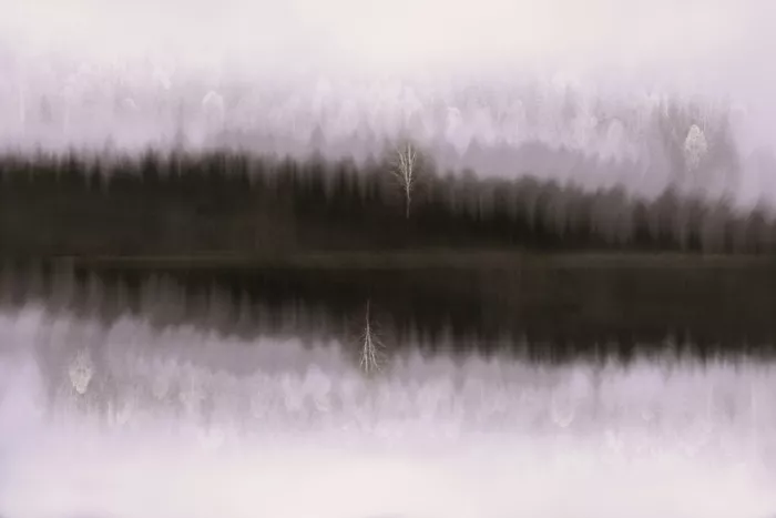 Sillen, Christina: Sin título