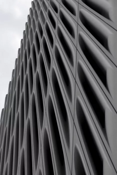Markovic, Branko: The Broad