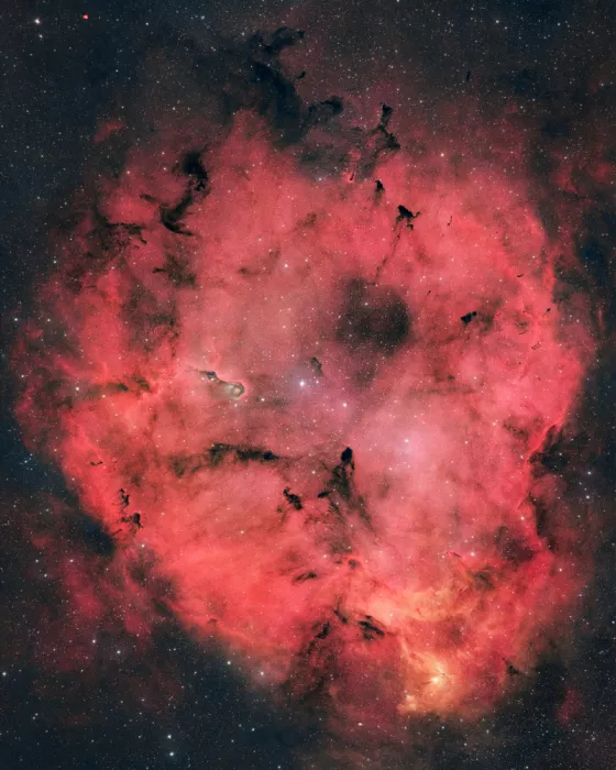 Chander, Vikas: La Nebulosa della Proboscide dell