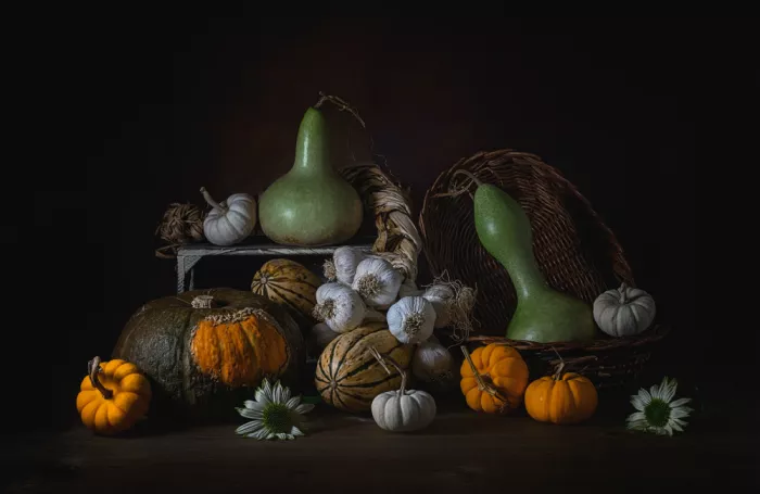 Jacobs, Lydia: Squash Harvest