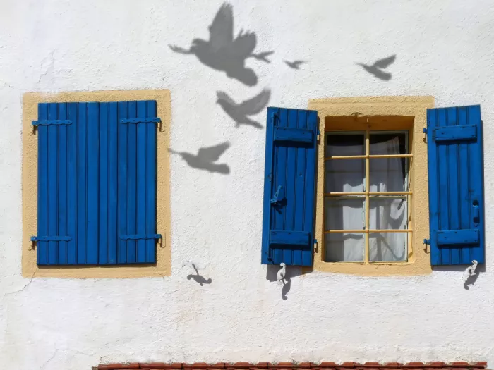 Pizzocaro, Giorgio: Shadows on the Wall