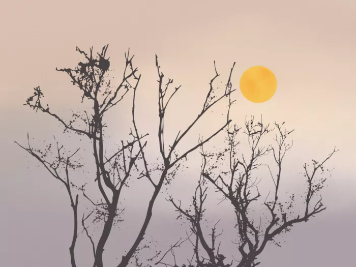 Dean, Little: La beauté sereine de la nature au crépuscule
