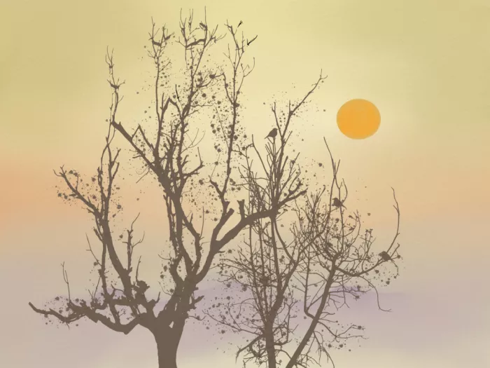 Dean, Little: Ciel de coucher de soleil en pastel