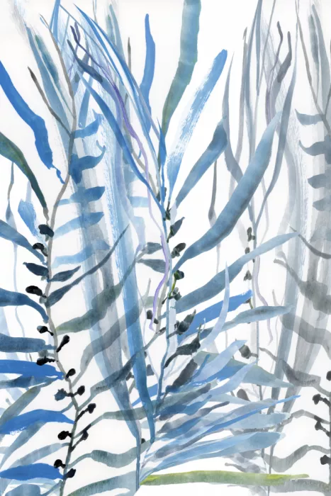 cartissi: Blue Seaweed No2
