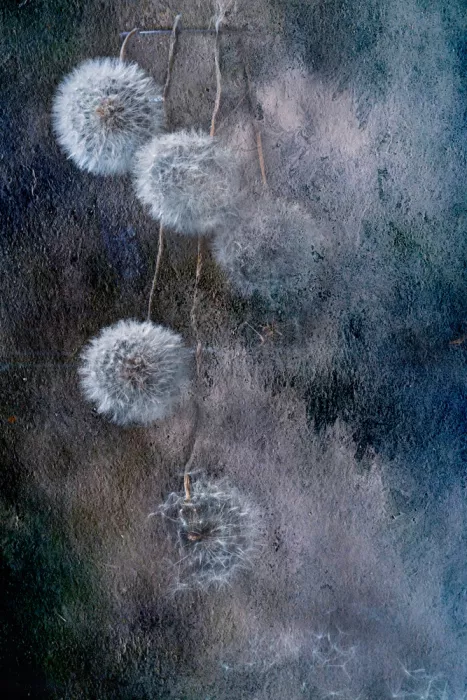 Kopcev, Igor: Dandellions