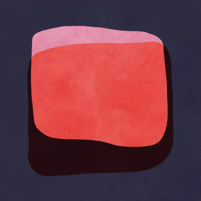 Costa, Vitor: Formes expressives 14
