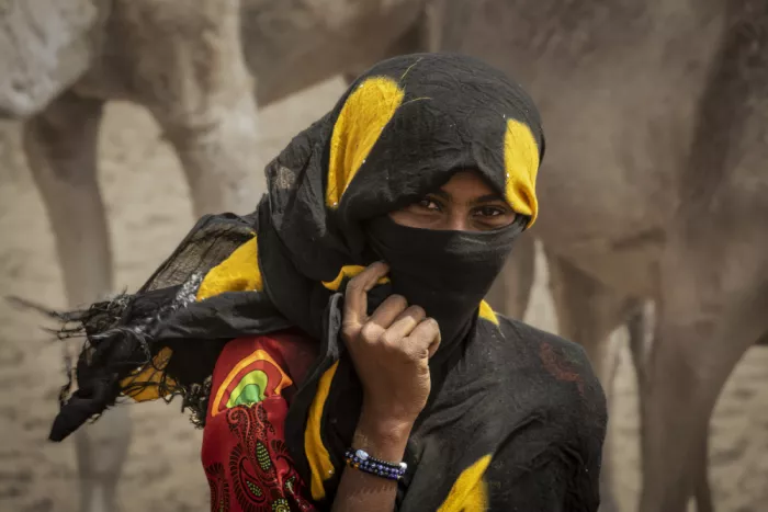 Molina, Elena: Vent dans le désert, Tchad