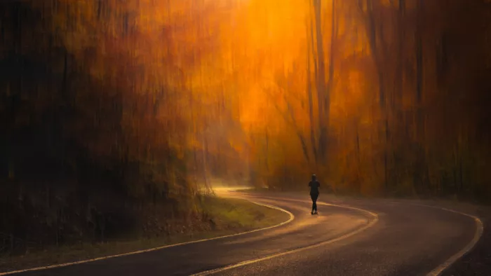 Rosenfeld, Haim: Autumn vibe
