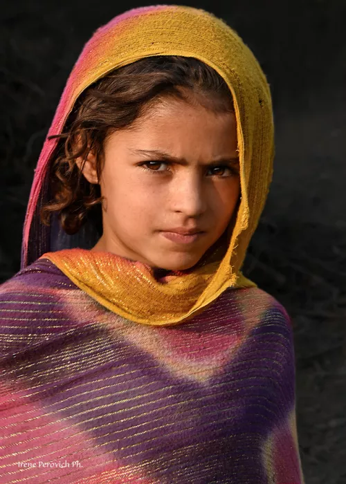 Perovich, Irene: Afghan girl-Afghan refugee camp