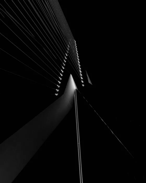 Louwen, Fred: The bridge