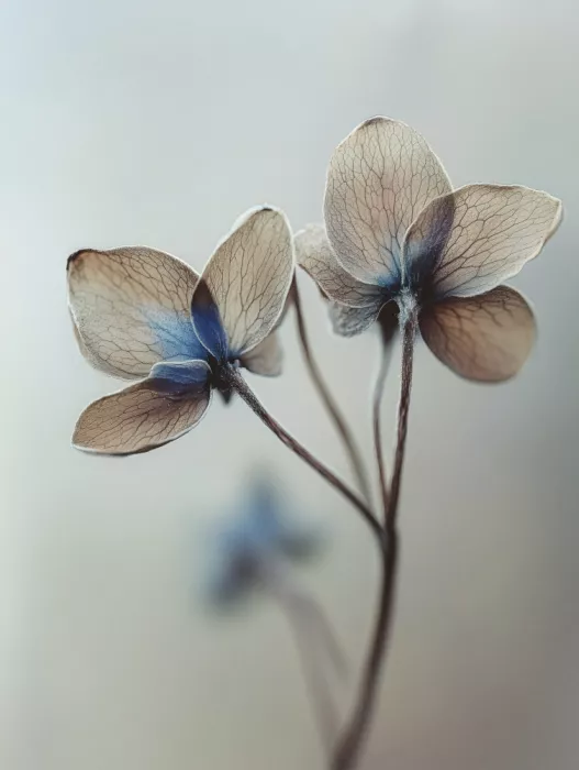 Treechild: Šepoty petalů