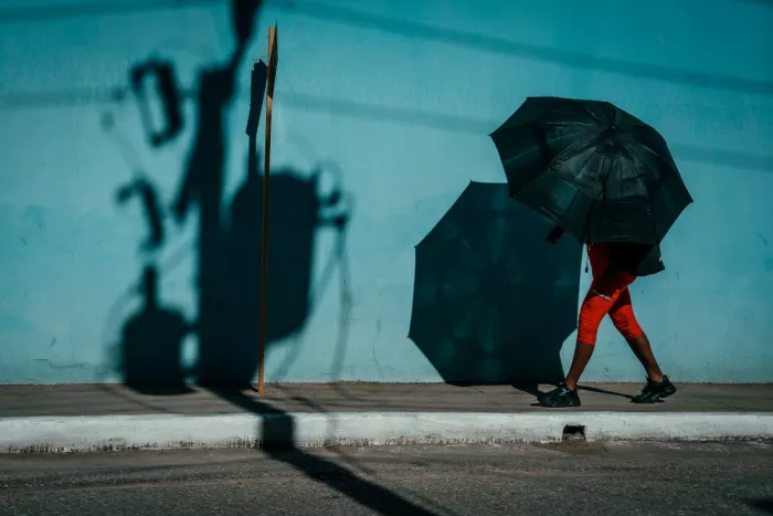 Bauer, Andy: Umbrella