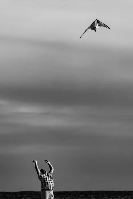 Melis, Maria Alberto: The kite
