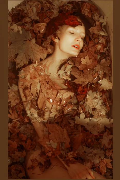 Biňovcová, Barbora: Autumn depth
