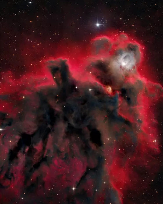 Chander, Vikas: La Nebulosa dell