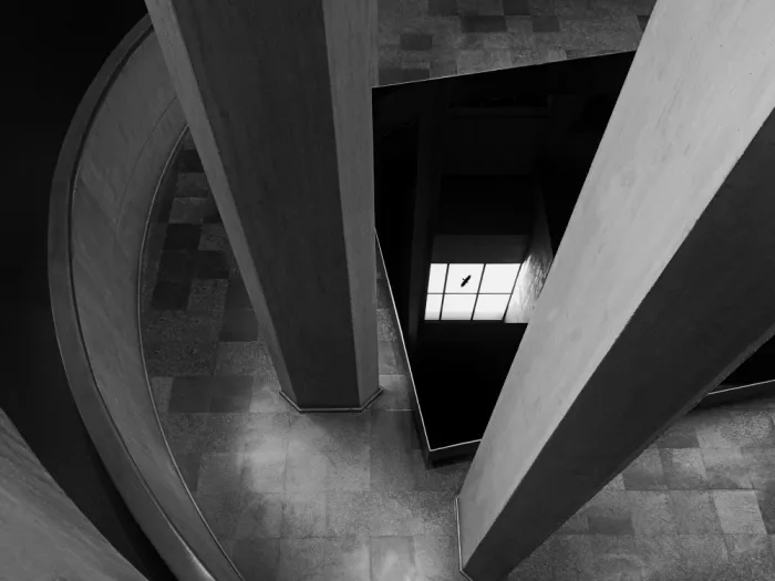 Alizolghadri93: A bird in the dark