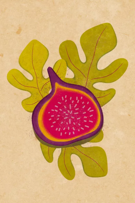 Oltmanns, Raissa: Simple fig