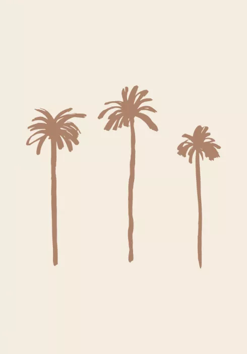 Pictufy: Palmy