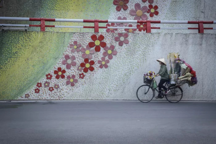 PRO, Gustafson Clas: Flowers girl