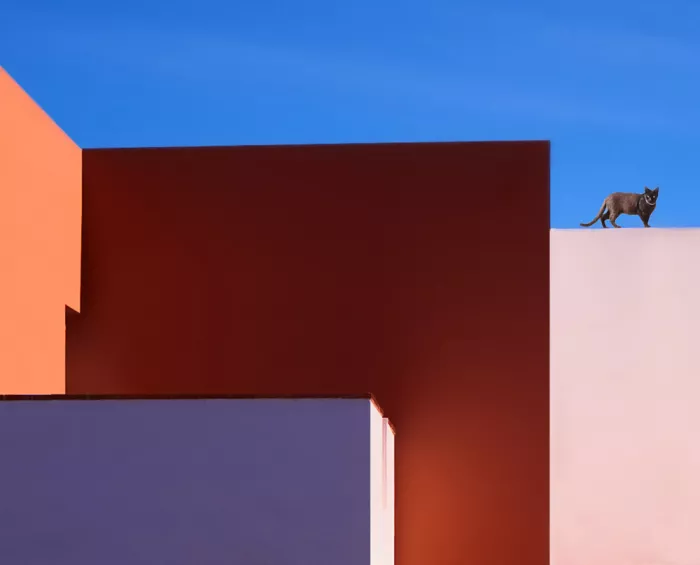 Engström, Erik: Cat on the roof
