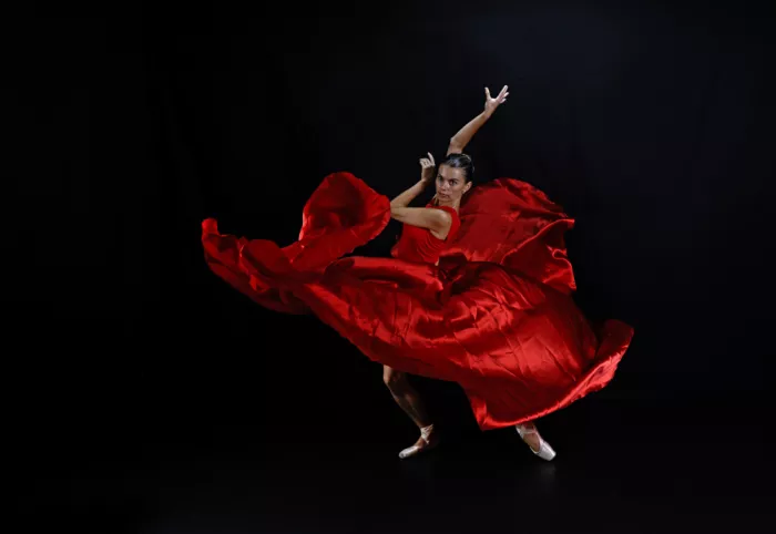 Waldmann, Shlomo: Vika in red