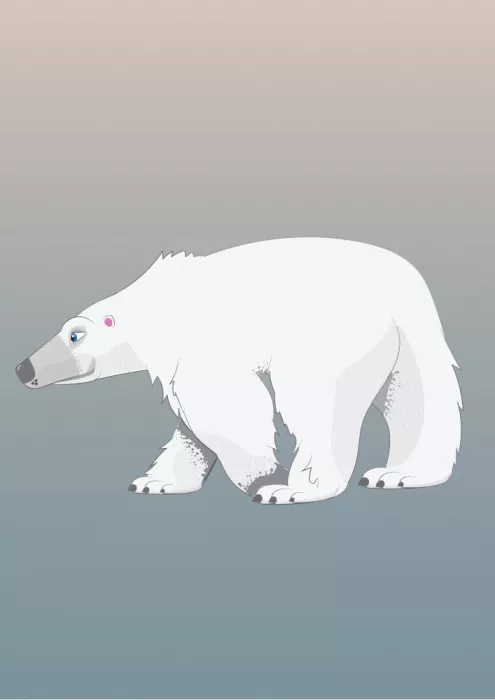 Nicholas: Eisbär