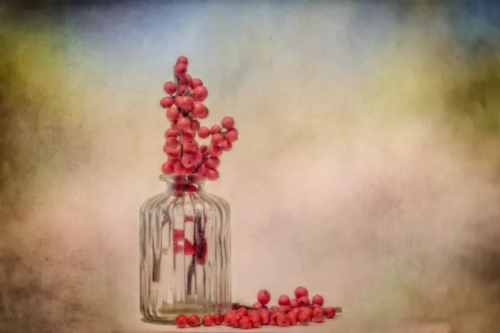 Stas, Marie-anne: Berries
