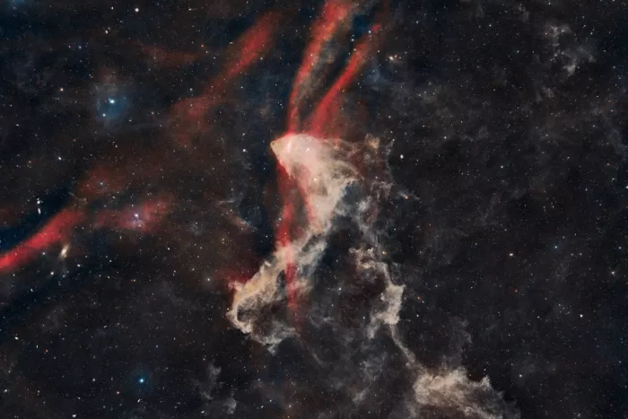 Chander, Vikas: La Nebulosa del Geco