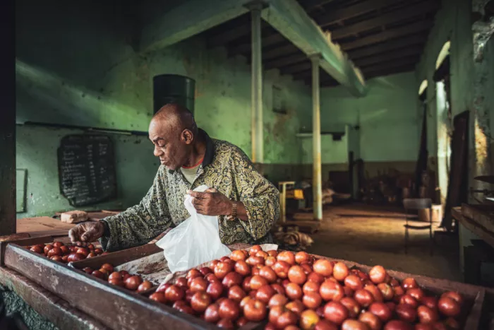 Tagliarino, Marco: Cuban tomatoes
